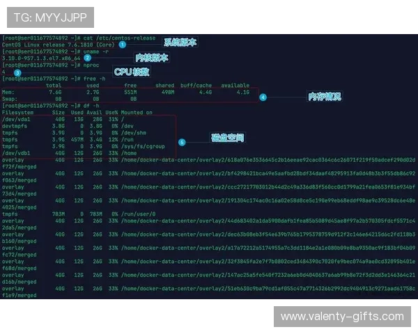 体验DB真人试玩的最佳方法,详细介绍新手入门必备技巧与注意事项 体验DB真人试玩的最佳方法,详细介绍新手入门必备技巧与注意事项
